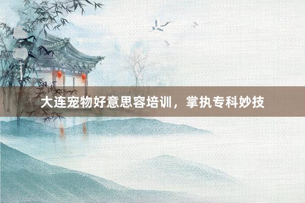 大连宠物好意思容培训，掌执专科妙技