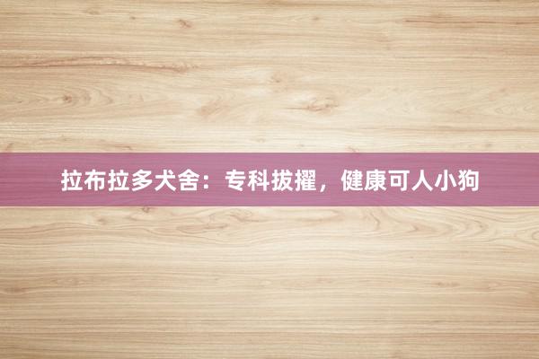 拉布拉多犬舍:专科拔擢,健康可人小狗