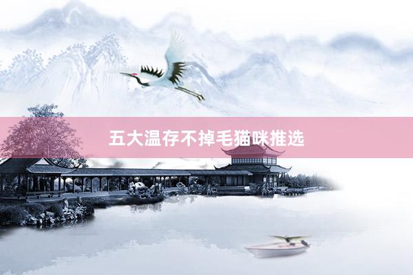 五大温存不掉毛猫咪推选